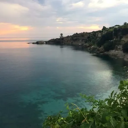 Seeonsea *